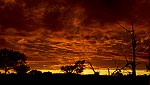 tablou Desert sunrise